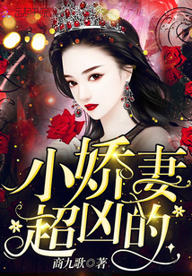 你的爱如星光出后续了吗