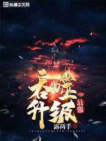 林安安景天安夏