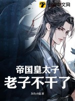 万相之王免费阅读小说