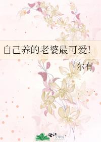 叶辰陈一诺大结局