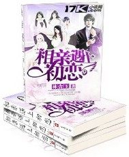 怀崽跑路被禁欲上司当场捕获林宜陆砚南