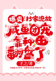 寒门崛起从最穷县太爷到富可敌国张羽杨欣小说全文免费阅读完整版