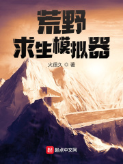 晋安全文免费阅读正版