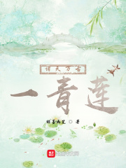 医路青云赵原柳莎小说全文免费阅读完整版