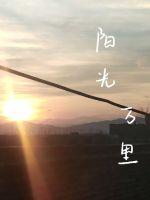 至尊强婿全文免费阅读