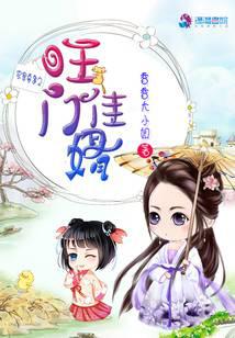 农家喜事之旺门佳婿