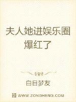 不过是黑魔法防御课教授罢了