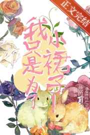 叶宁罗舞苏倾城小说阅读免费