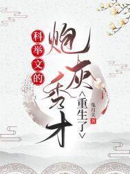 最后一艘歼星舰