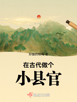 萧峥小月的小说执掌风云