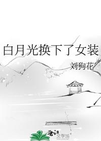 大明风流男主角是谁