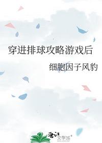 顾念陆寒沉小说免费阅读全文