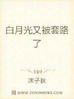 萧子宁白惜凝免费阅读无弹窗