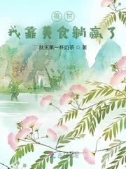 叶观纳兰迦小说全文完结阅读免费