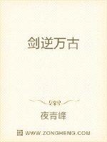 我在农村开个饭店怎么成大明星了