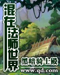 武碎星河全文阅读