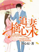 极品万岁爷免费阅读